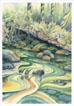 Tidepool
